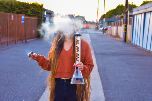 Glass Beaker Bongs