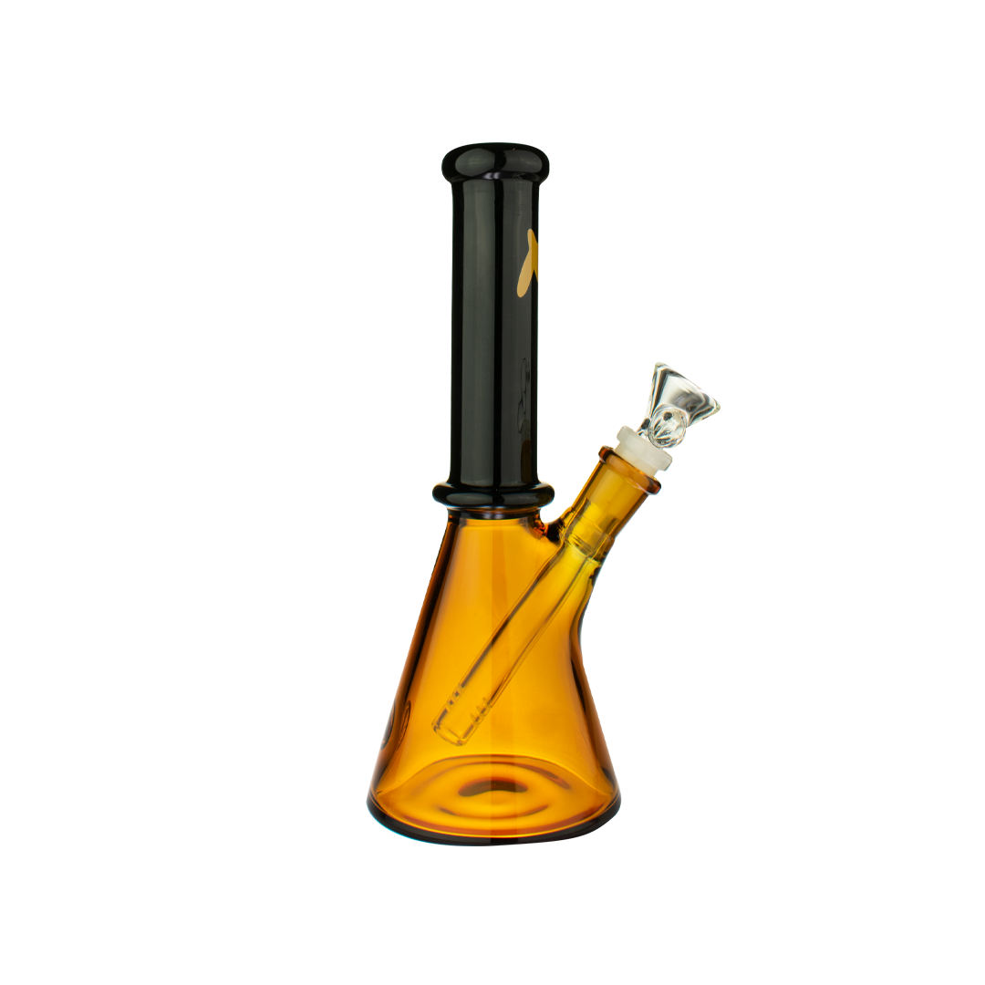 Black and Gold